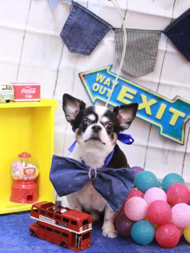 20230407ハートくん